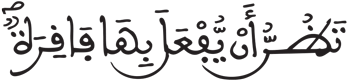 القيامة 24 3