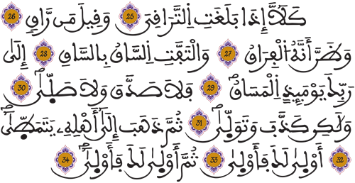 القيامة 25 34