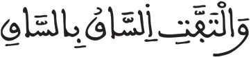 القيامة 28 3