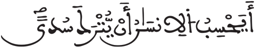 القيامة 35 3