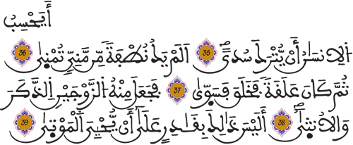 القيامة 35 39