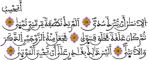 القيامة 35 39