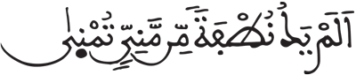 القيامة 36 3