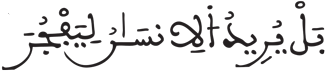 القيامة 5