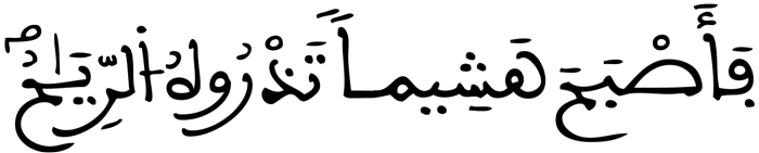 الكهف الآية 44