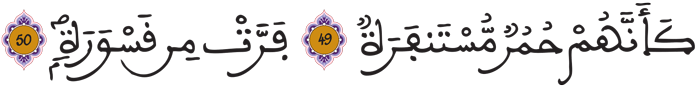 المدثر 49 50