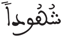 المدثر 13