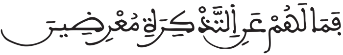 المدثر 48 2