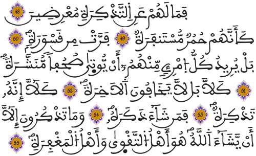 المدثر 48 55