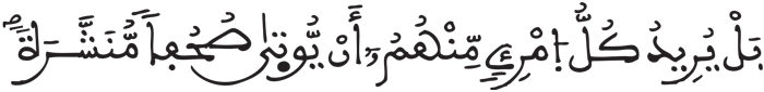 المدثر 51