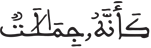 المرسلات 33 3