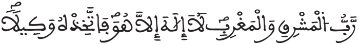 المزمل 8 2