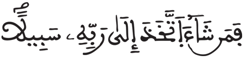 المزمل 17 3