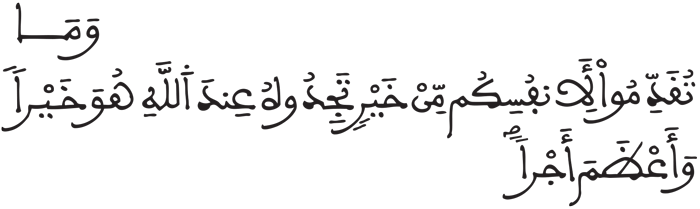 المزمل 18 21