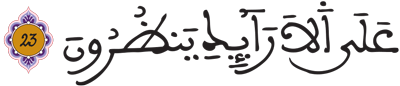 المطففين 23