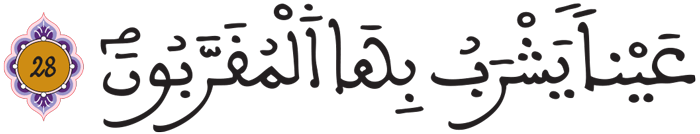 المطففين 28