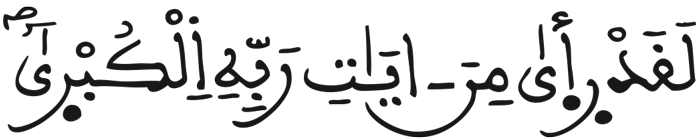النجم 18