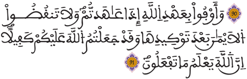 النحل 91 النحل 91