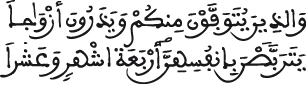 image 3004